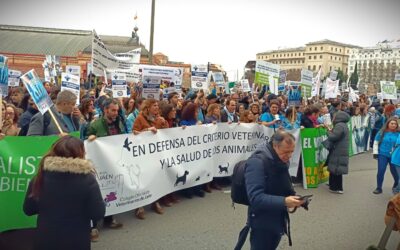 Los veterinarios jiennenses plantan cara al Real Decreto de prescripción de medicamentos veterinarios.