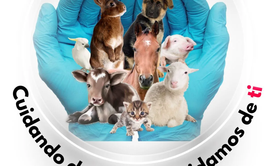 Información sobre concentración del 26 de marzo ante la Subdelegación de Gobierno de Jaén