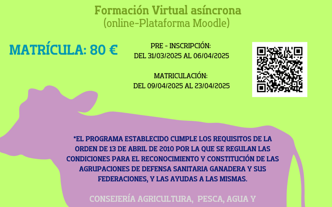 Curso habilitante: “Veterinario de Directorio”