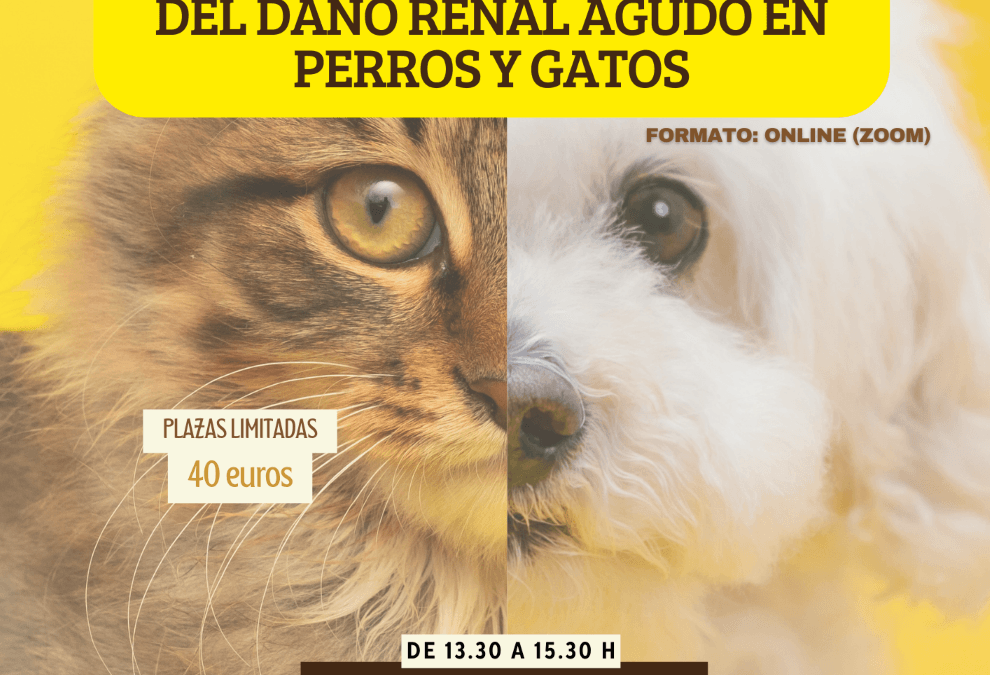 Curso: “Diagnóstico y tratamiento del daño renal agudo en perros y gatos”