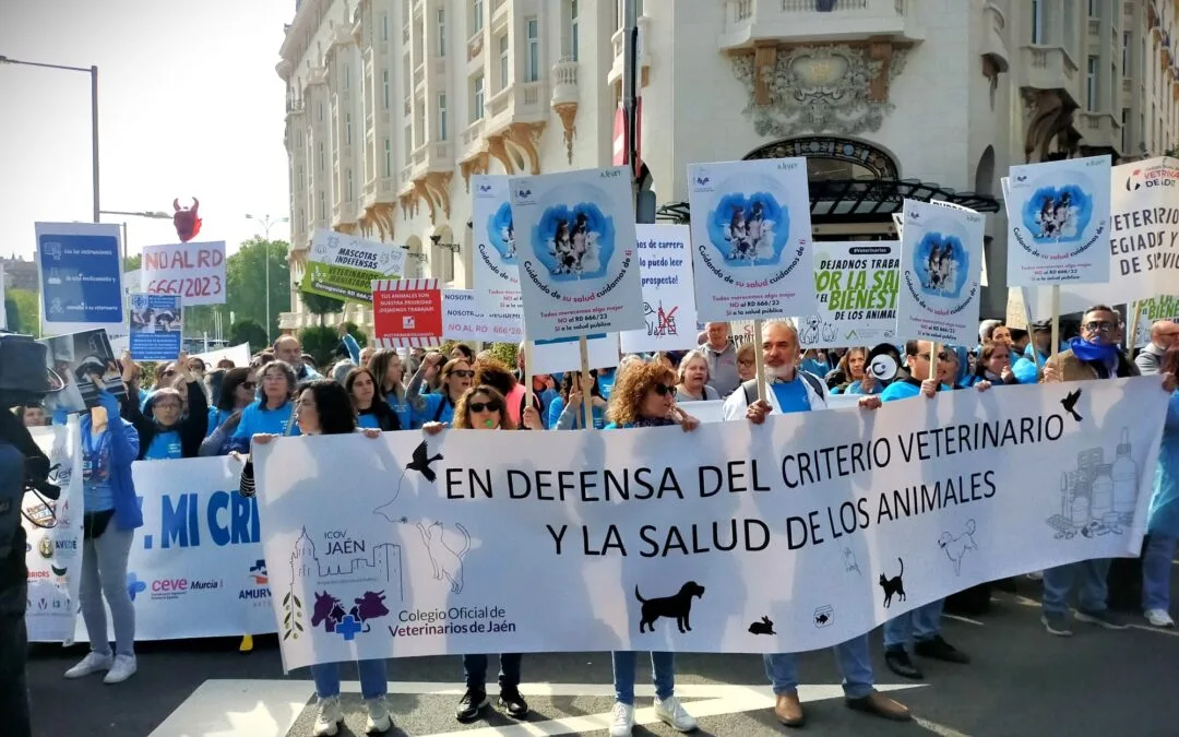 La voz de los veterinarios españoles, vuelve a resonar frente al Congreso de los Diputados
