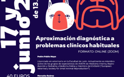 Curso: “Aproximación diagnóstica a problemas clínicos habituales”