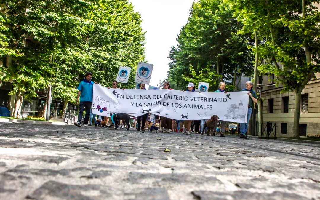 MANIFESTACIÓN FAMILIAR CONTRA EL R.D.666/2023