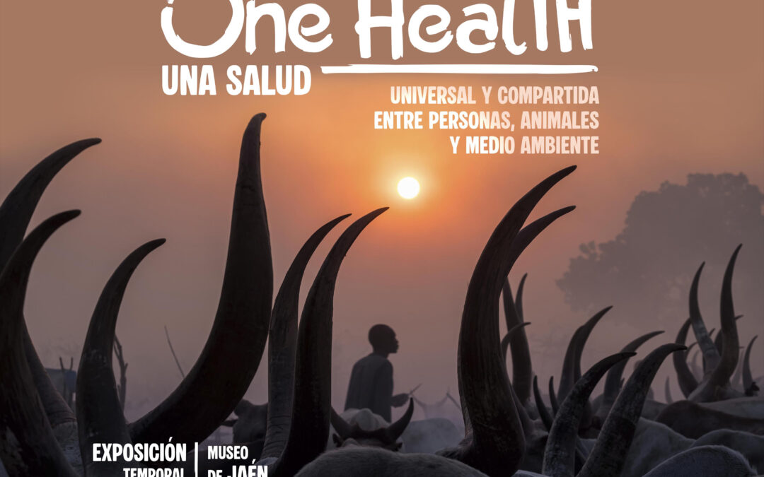 EXPOSICIÓN FOTOGRÁFICA “ONE HEALTH” DE KATY GÓMEZ EN EL MUSEO DE JAÉN