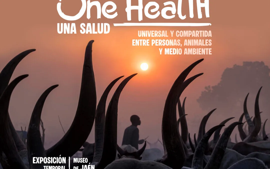 EXPOSICIÓN FOTOGRÁFICA “ONE HEALTH” DE KATY GÓMEZ EN EL MUSEO DE JAÉN
