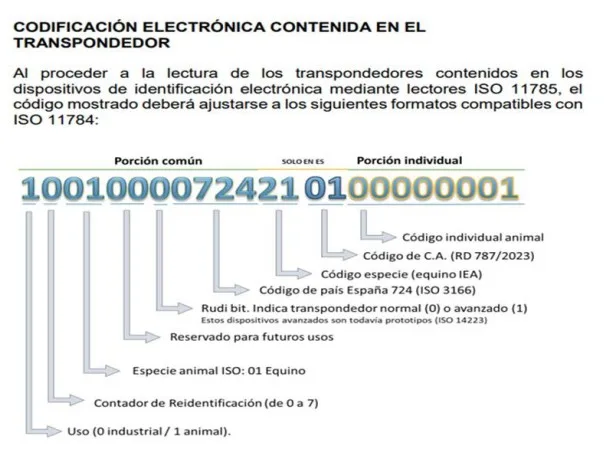 Cambio rango numeración. Microchips de équidos