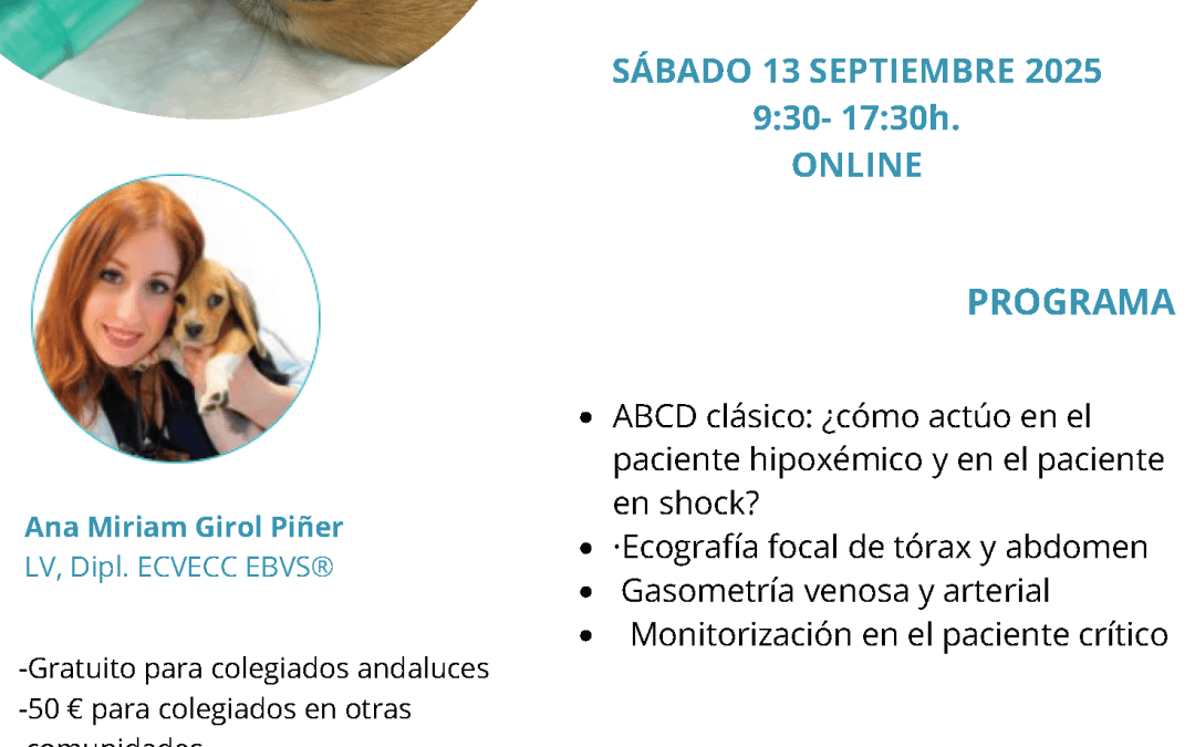 Curso: “Hospitalización y Cuidados Intensivos en Urgencias”