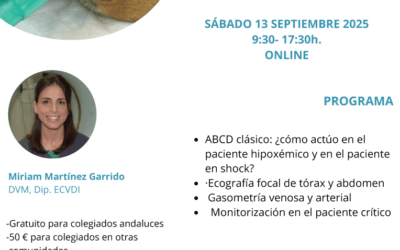 Curso: “Hospitalización y Cuidados Intensivos en Urgencias”