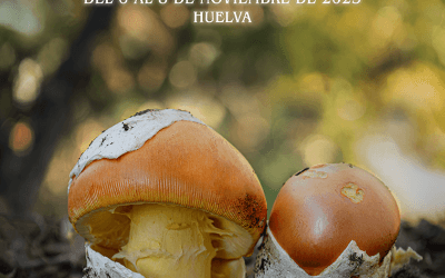 III Congreso Andaluz de Micología