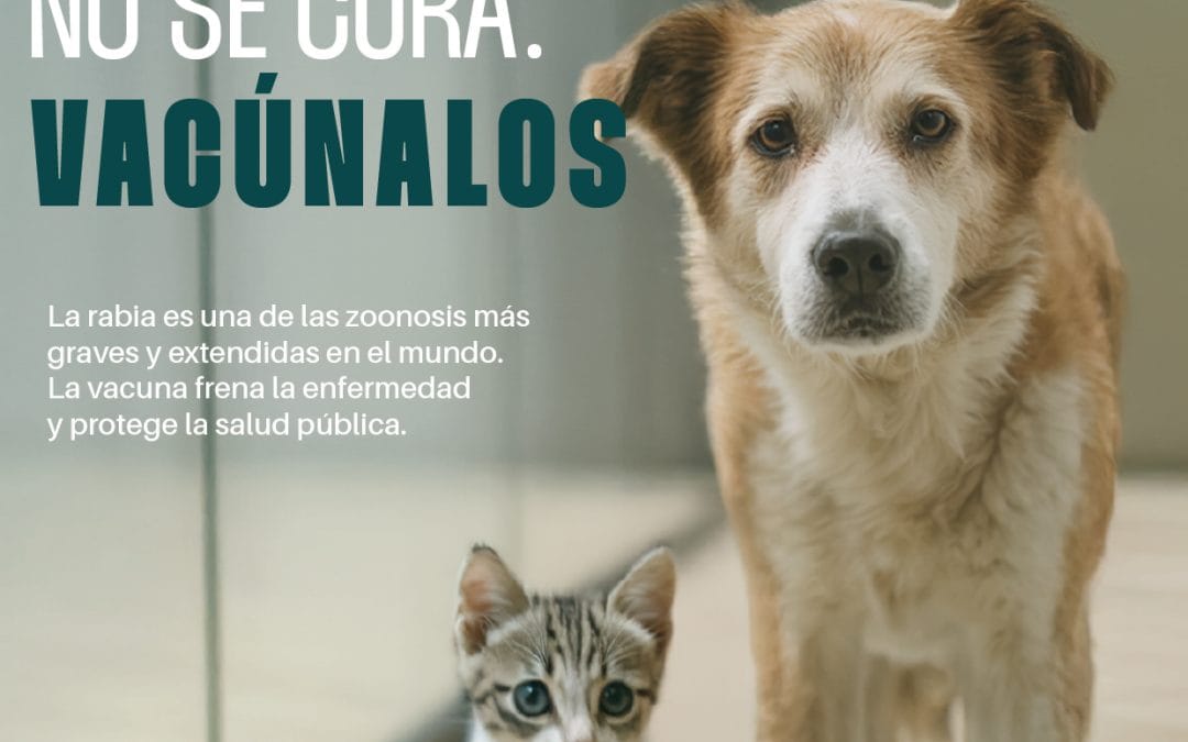 Día Mundial de la Lucha Frente a la Rabia