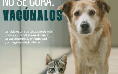 Día Mundial de la Lucha Frente a la Rabia