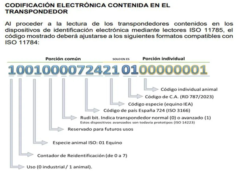 RECORDATORIO NUEVA CODIFICACIÓN MICROCHIPS ÉQUIDOS