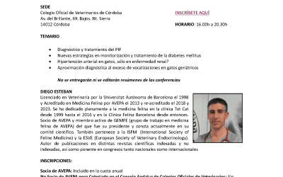 Curso: “Actualización en Medicina Felina”