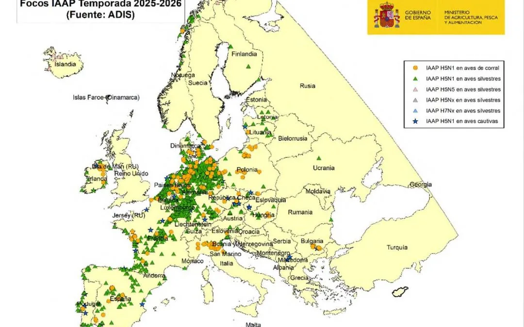 ACTUALIZACIÓN INFLUENZA AVIAR DE ALTA PATOGENICIDAD (IAAP) H5N1