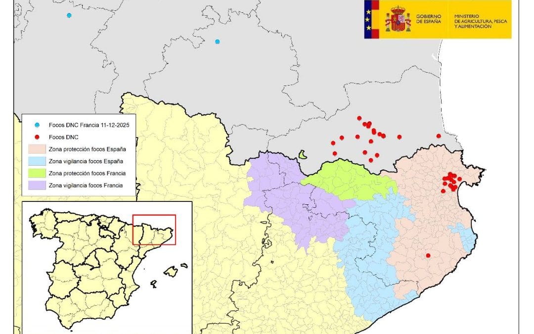 ACTUALIZACIÓN DE LA SITUACIÓN EPIDEMIOLÓGICA DNC