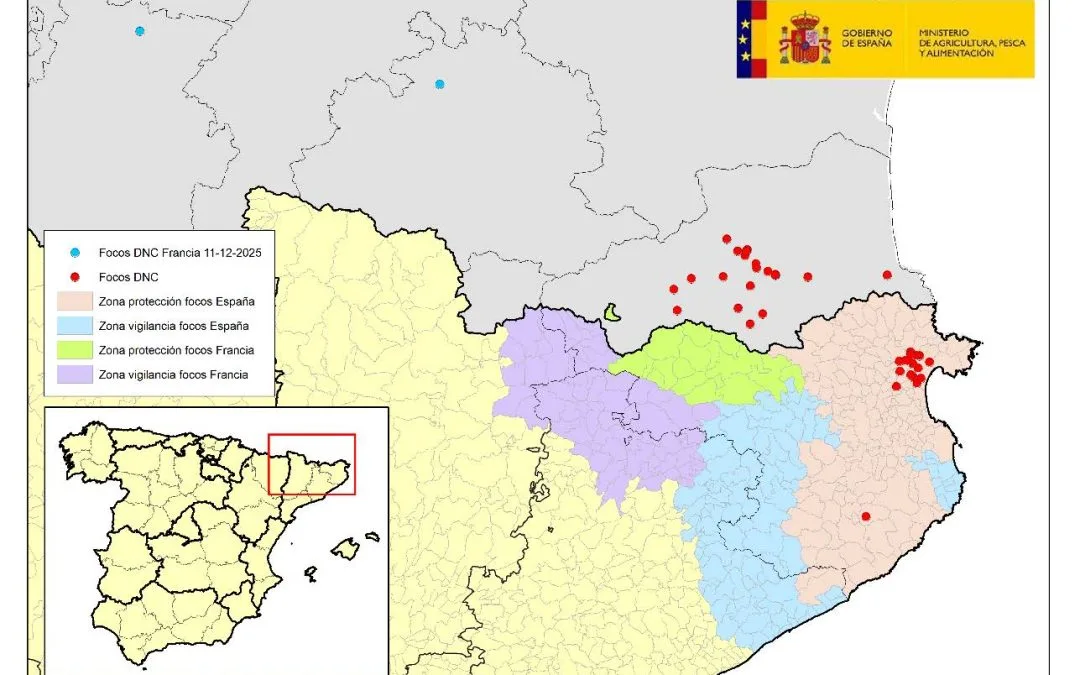 ACTUALIZACIÓN DE LA SITUACIÓN EPIDEMIOLÓGICA DNC