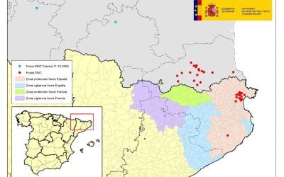 ACTUALIZACIÓN DE LA SITUACIÓN EPIDEMIOLÓGICA DNC
