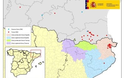 Actualización situación Dermatosis Nodular Contagiosa
