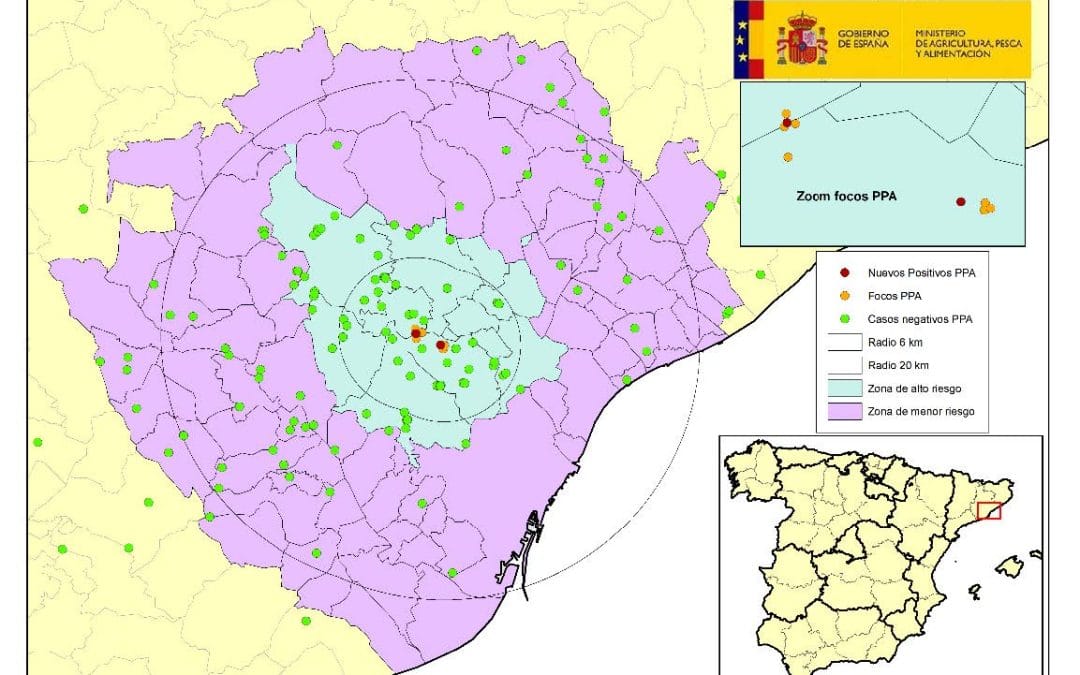 ACTUALIZACIÓN DE LA SITUACIÓN DE PESTE PORCINA AFRICANA