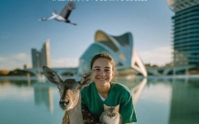 IV Congreso Internacional de Sanidad y Bienestar Animal