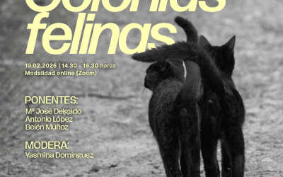 Curso: “Veterinario en Gestión de Colonias Felinas” (Proyecto CER)