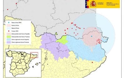 ACTUALIZACIÓN DE LA SITUACIÓN EPIDEMIOLÓGICA DNC