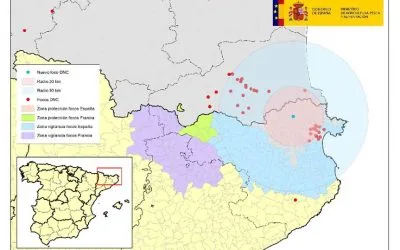 ACTUALIZACIÓN DE LA SITUACIÓN EPIDEMIOLÓGICA DNC