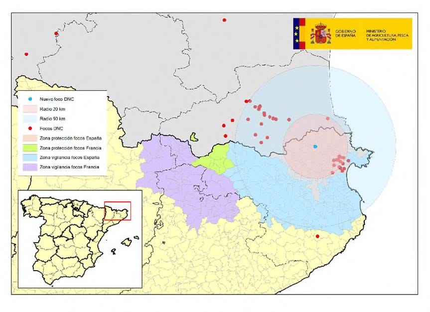ACTUALIZACIÓN DE LA SITUACIÓN EPIDEMIOLÓGICA DNC