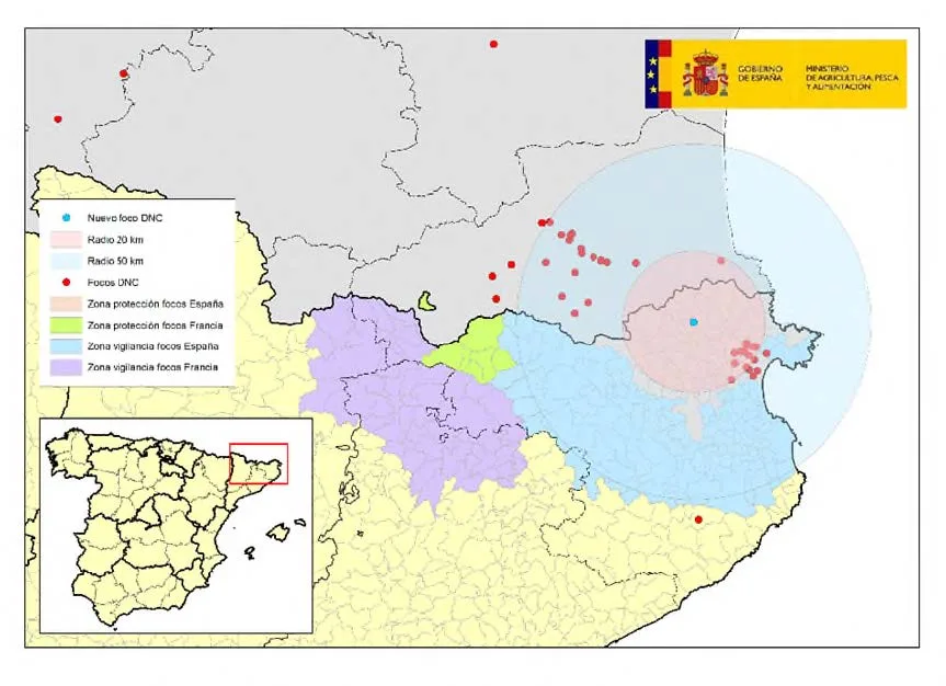 ACTUALIZACIÓN DE LA SITUACIÓN EPIDEMIOLÓGICA DNC