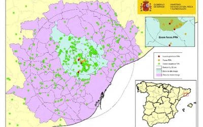 ACTUALIZACIÓN DE LA SITUACIÓN DE PESTE PORCINA AFRICANA