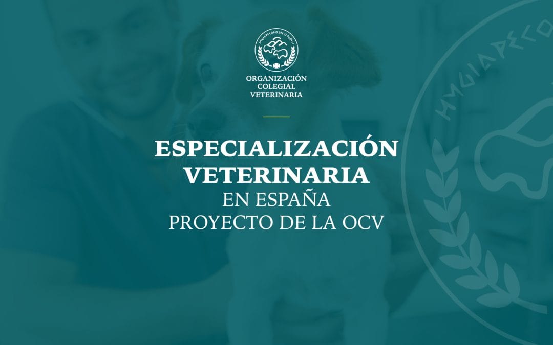 Sesión Informativa en Jaén sobre el Proyecto de Especialización Veterinaria