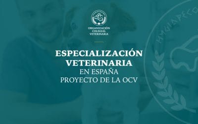 Sesión Informativa en Jaén sobre el Proyecto de Especialización Veterinaria