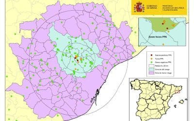 ACTUALIZACIÓN SITUACIÓN DE PPA EN JABALÍES SILVESTRES EN CATALUÑA