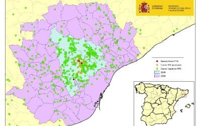 ACTUALIZACIÓN PESTE PORCINA AFRICANA EN CATALUÑA