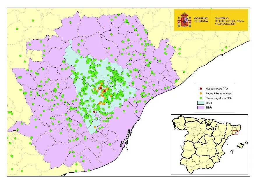 ACTUALIZACIÓN PESTE PORCINA AFRICANA EN CATALUÑA