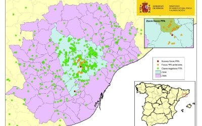 ACTUALIZACIÓN PESTE PORCINA AFRICANA EN CATALUÑA