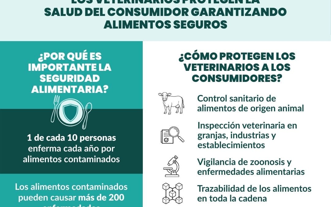 Día Mundial de los Derechos del Consumidor. 15 de marzo