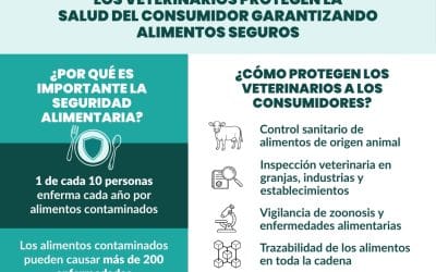 Día Mundial de los Derechos del Consumidor. 15 de marzo