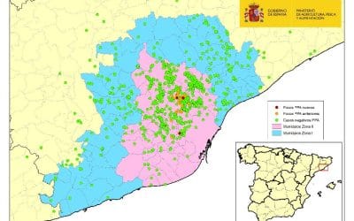 ACTUALIZACIÓN PESTE PORCINA AFRICANA EN JABALÍES SILVESTRES EN CATALUÑA