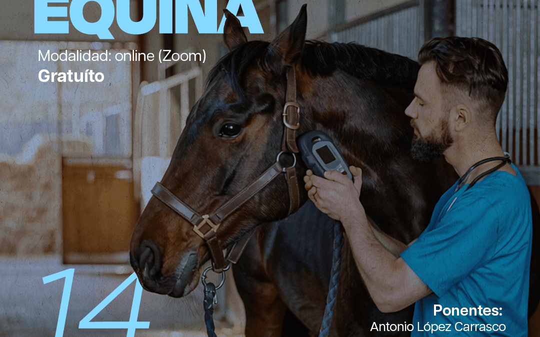 Curso habilitante: “Acceso y Actualización en Identificación Equina”