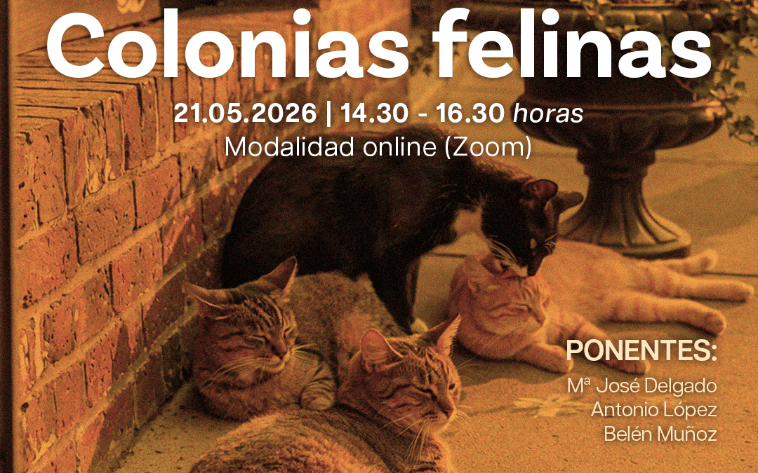 Curso: “Veterinario en Gestión de Colonias Felinas” (Proyecto CER)
