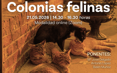 Curso: “Veterinario en Gestión de Colonias Felinas” (Proyecto CER)