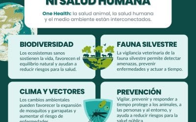 DIA INTERNACIONAL DE LA MADRE TIERRA