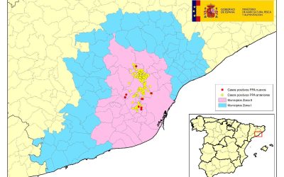 ACTUALIZACIÓN PESTE PORCINA AFRICANA EN JABALÍES SILVESTRES EN CATALUÑA