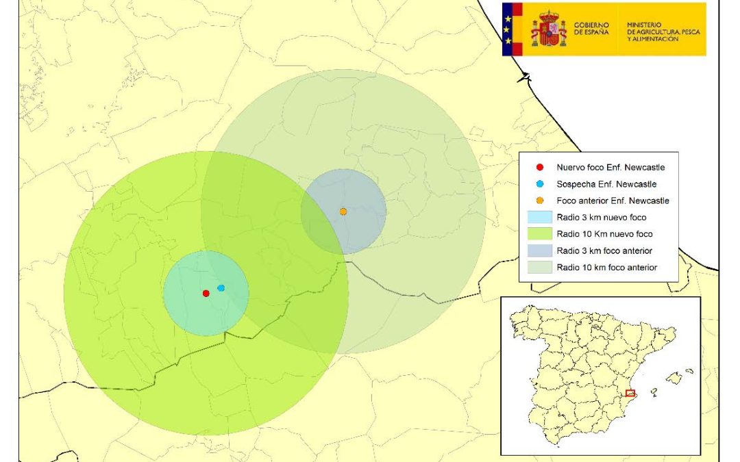 NUEVO FOCO DE ENFERMEDAD DE NEWCASTLE EN VALENCIA