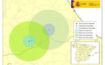 NUEVO FOCO DE ENFERMEDAD DE NEWCASTLE EN VALENCIA
