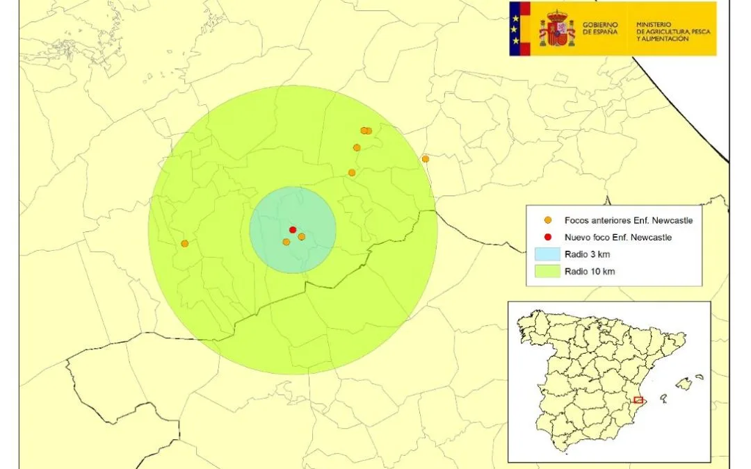 Actualización de situación Enfermedad Newcastle en España