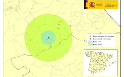 Actualización de situación Enfermedad Newcastle en España
