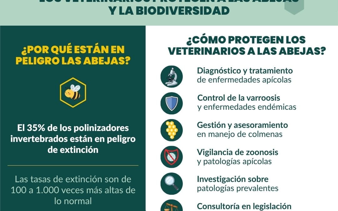 Infografía. Día Mundial de las Abejas