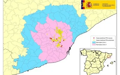 ACTUALIZACIÓN PESTE PORCINA AFRICANA EN JABALÍES SILVESTRES EN CATALUÑA